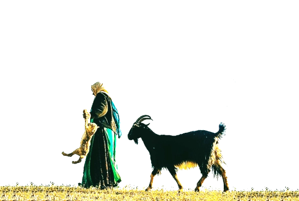 به یاد مادربزرگ عزیزم